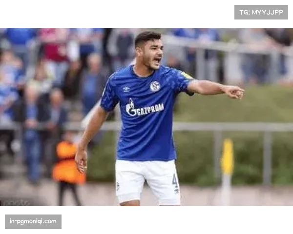 霍芬海姆后防轮换观察 卡巴克哈伊达里中卫组合稳定